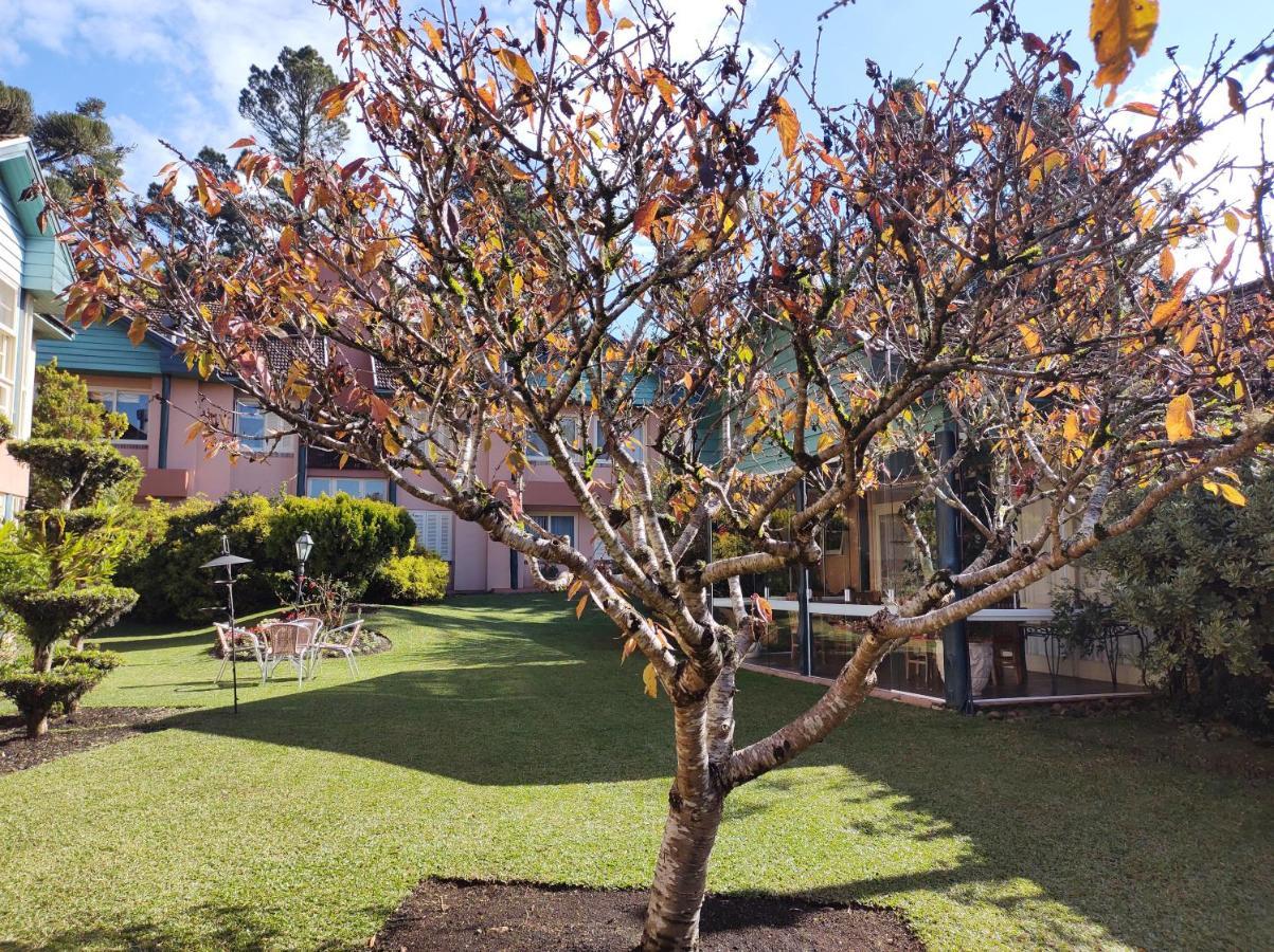 Agradavel Apt 2Quartos Para Familia Prox Ao Lago Negro - 4 Min Do Centro- Com Churrasqueira Gramado Exterior foto