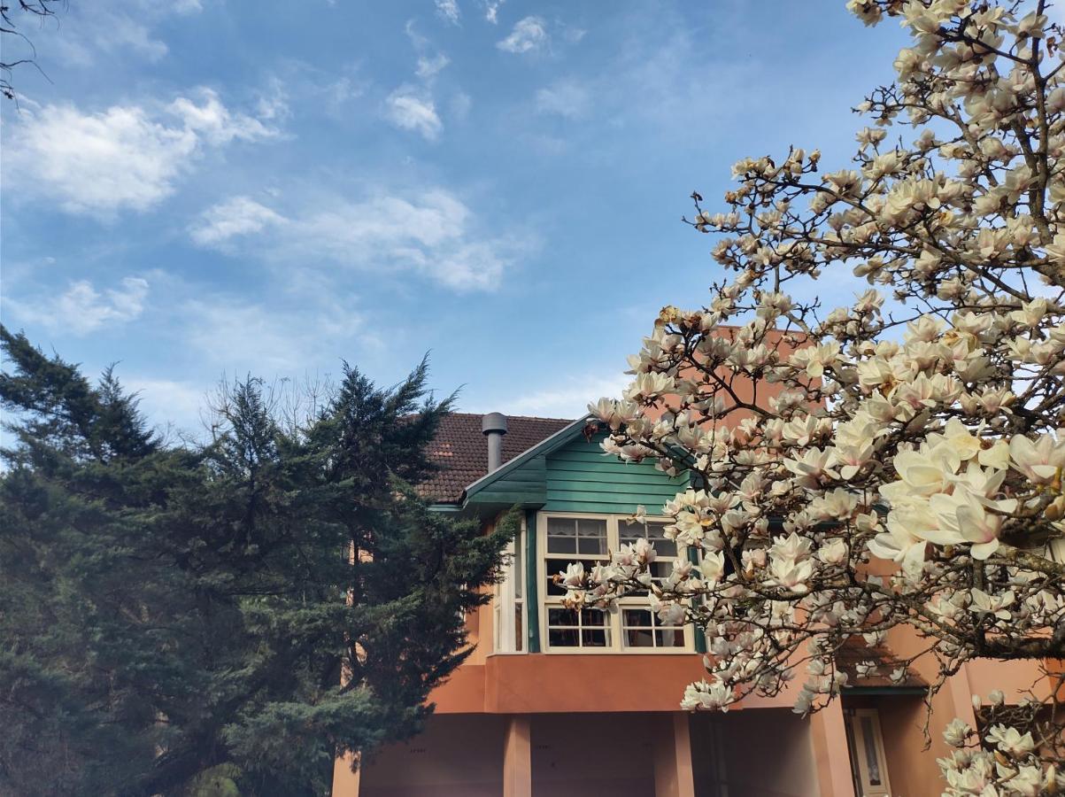 Agradavel Apt 2Quartos Para Familia Prox Ao Lago Negro - 4 Min Do Centro- Com Churrasqueira Gramado Exterior foto